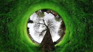 19. Экология I (9 класс) - биология, подготовка к ЕГЭ и ОГЭ 2017 19. Экология I (9 класс) - биология, подготовка к ЕГЭ и ОГЭ 2017
