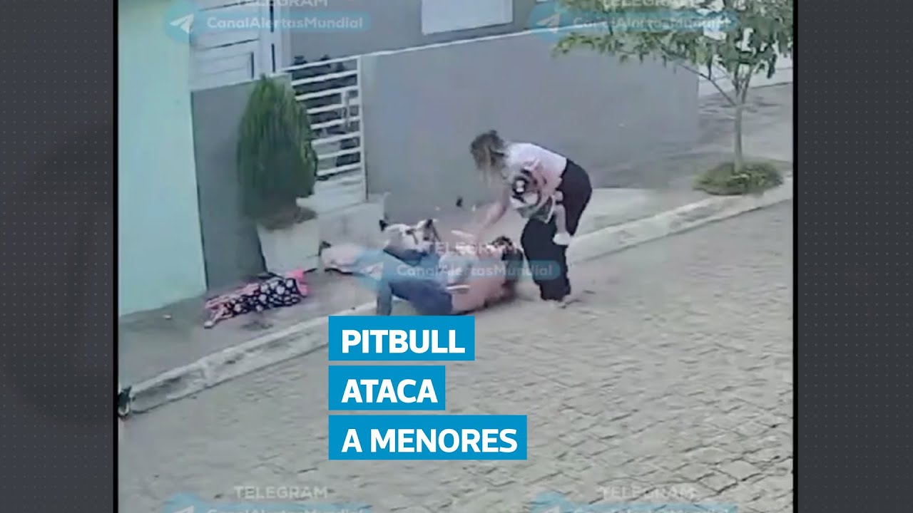⁣Pitbull ataca a madres e hijas frente a su casa mientras esperaban el transporte escolar en Brasil