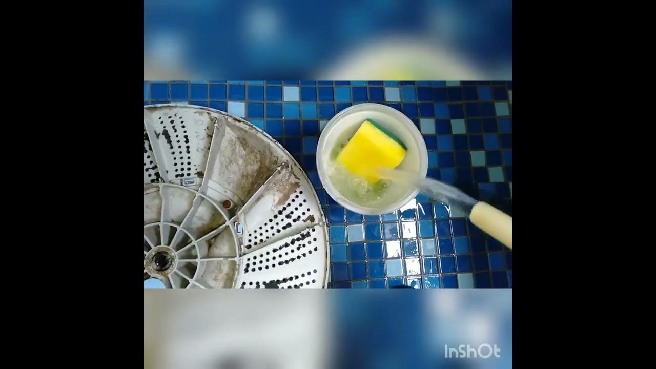 DIY Today How to clean midea washing machine pulsator YouTube