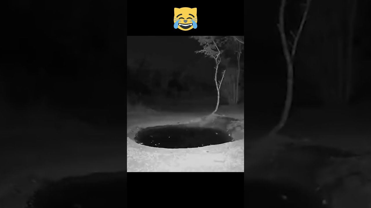 Flying without wings 😜 