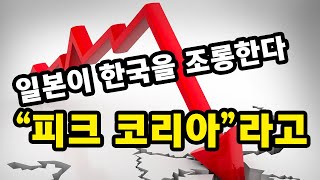 일본이 한국을 &quot;피크 코리아&quot;라며 조…