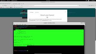 Short And Sweet || Tenable CTF 2021 || Code Challenge || Walkthrough