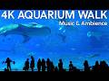 Sleep & Focus｜Giant Whale Shark Aquarium｜8hr 4K No Mid-roll Ads｜Relaxing Music & Ambient Crowd Sound