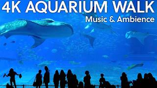 Sleep & Focus｜Giant Whale Shark Aquarium｜8hr 4K No Mid-roll Ads｜Relaxing Music & Ambient Crowd Sound screenshot 5