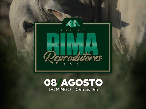 Lote 122   RIMA A6096   A6138 Copy