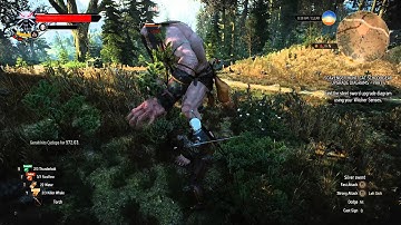 Witcher 3 Cyclops Kill Test 2
