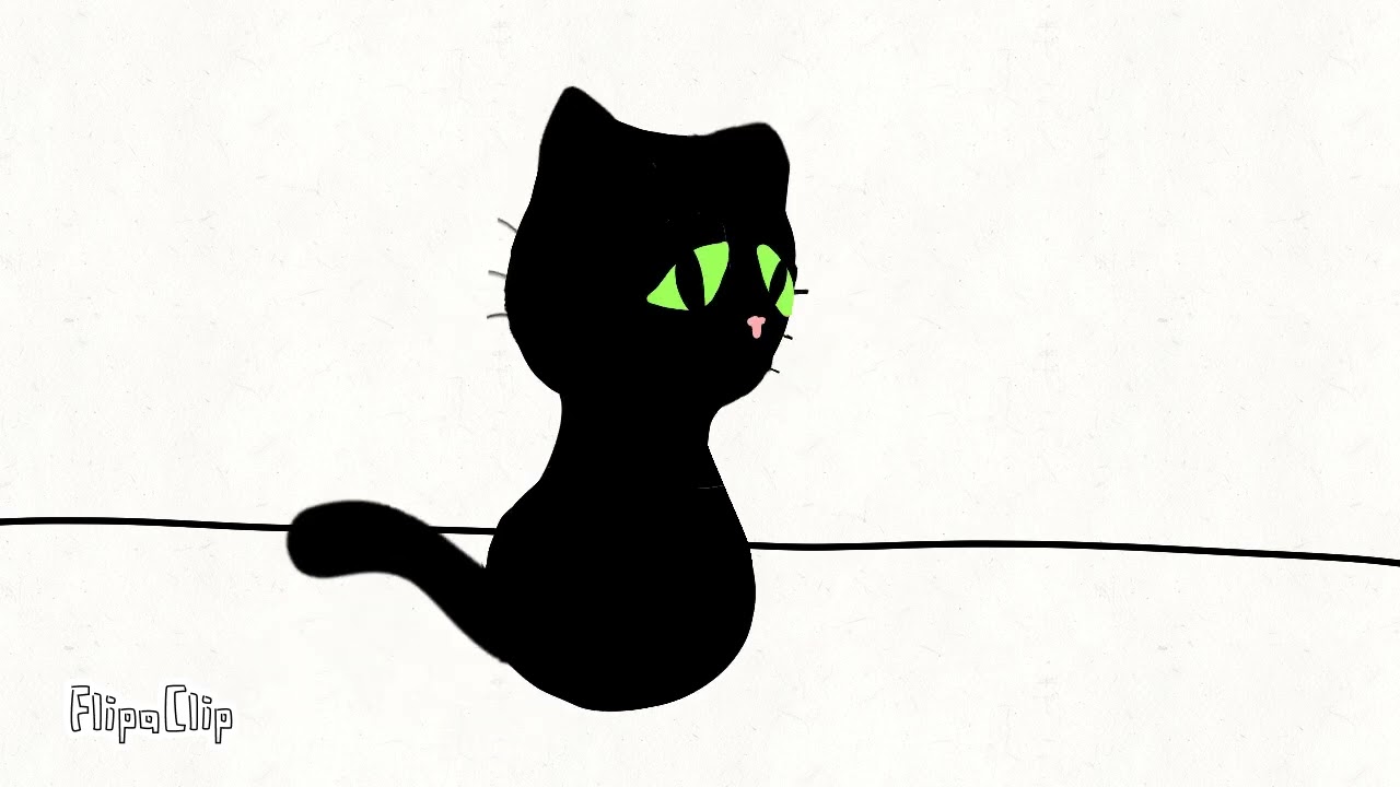 Meoe gato fliplaclip fofo rabinho girando