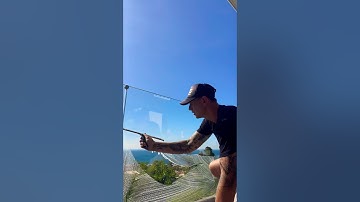 View reveled #shorts #asmr #fun #happy #howto #reels #skills #windowcleaning #satisfying #learn