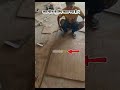 what type of cutting on this plywood anyone telling me #plywood #woodproject #plywooddesign #skills