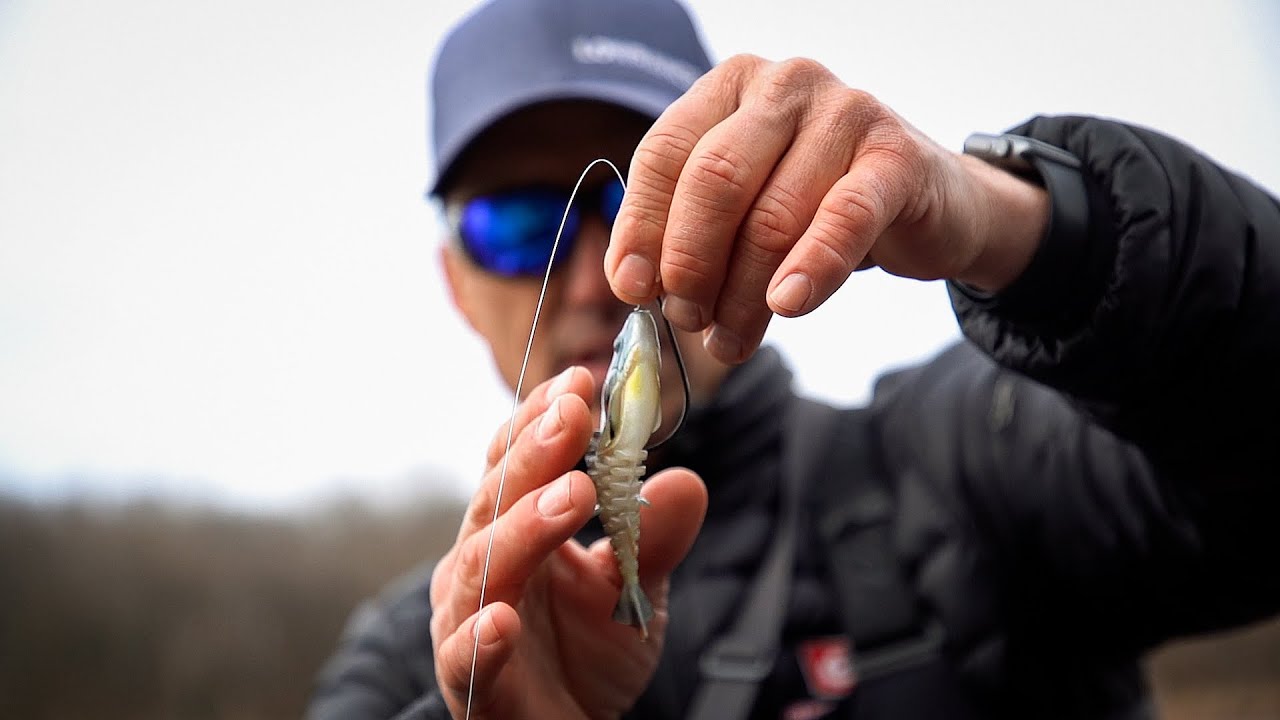 Best Bait Brands