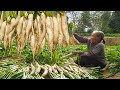 Guangxi grandma's pickled radish｜吃不完的蘿蔔，阿婆教你傳統醃法，放3年不會壞，送粥好菜 ｜ Chinese Food 广西 美食 玉林阿婆