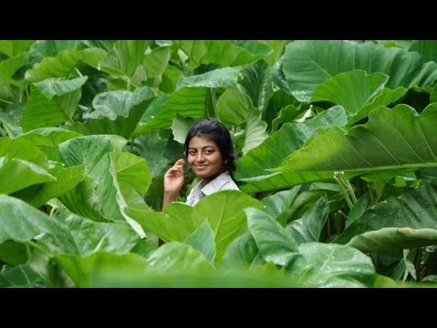 Kayal - Yen Aala Paakkaporaen Song Teaser | D. Imman