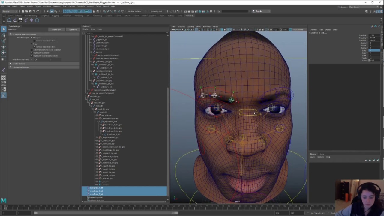 FACS#4: Making the Rig (Part II)