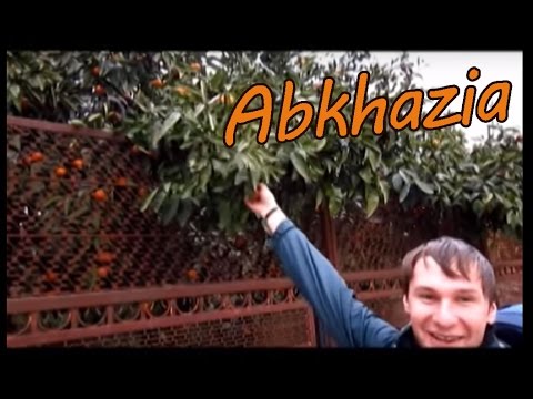 Мандариновий кінець світу або Свято наближається