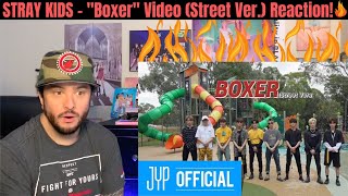 STRAY KIDS - "Boxer" Video (Street Ver.) Reaction! (Keep Fighting!)