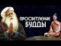 История просветления Гаутамы Будды - Sadhguru на Русском