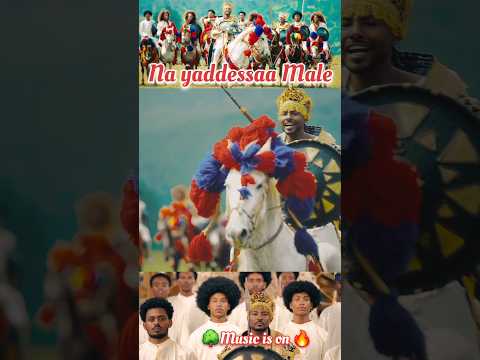 Gelana Garomsa YAA SHURAKOO New Ethiopian Oromo Music 2025 Gelanagaromsa Oromomusic Ethiopia