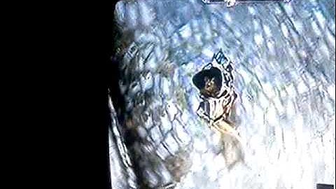 Skyrim self duplication cheat in 30 seconds