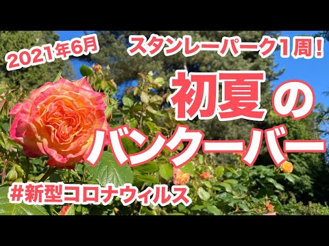 【2021年6月】スタンレーパーク1周！初夏のバンクーバーの様子