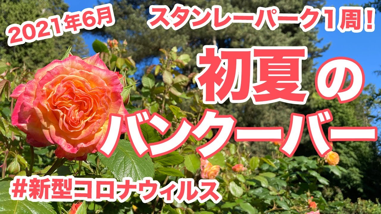 21年6月 スタンレーパーク1周 初夏のバンクーバーの様子 Youtube