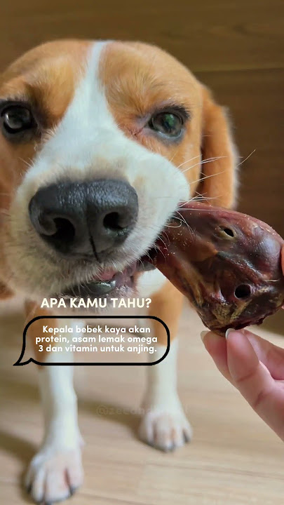 Tes kriuk kepala bebek #ASMR