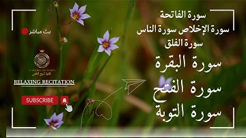 سورة الفاتحة، الإخلاص، الفلق، النّاس سورة الفتح _ سورة البقرة _ سورة التوبة