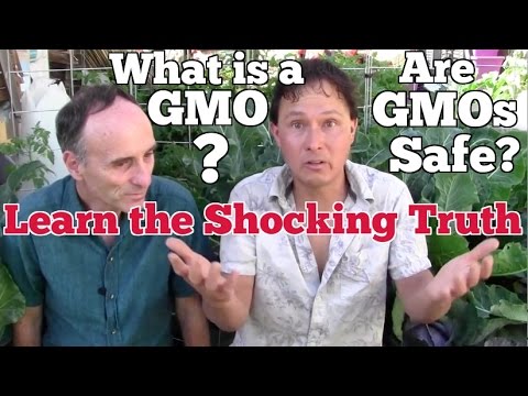 What&rsquo;s a GMO? Are GMOs Safe? Learn the Shocking Truth