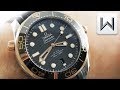 Omega Seamaster Diver 300M (210.22.42.20.01.002) Luxury Dive Watch Review