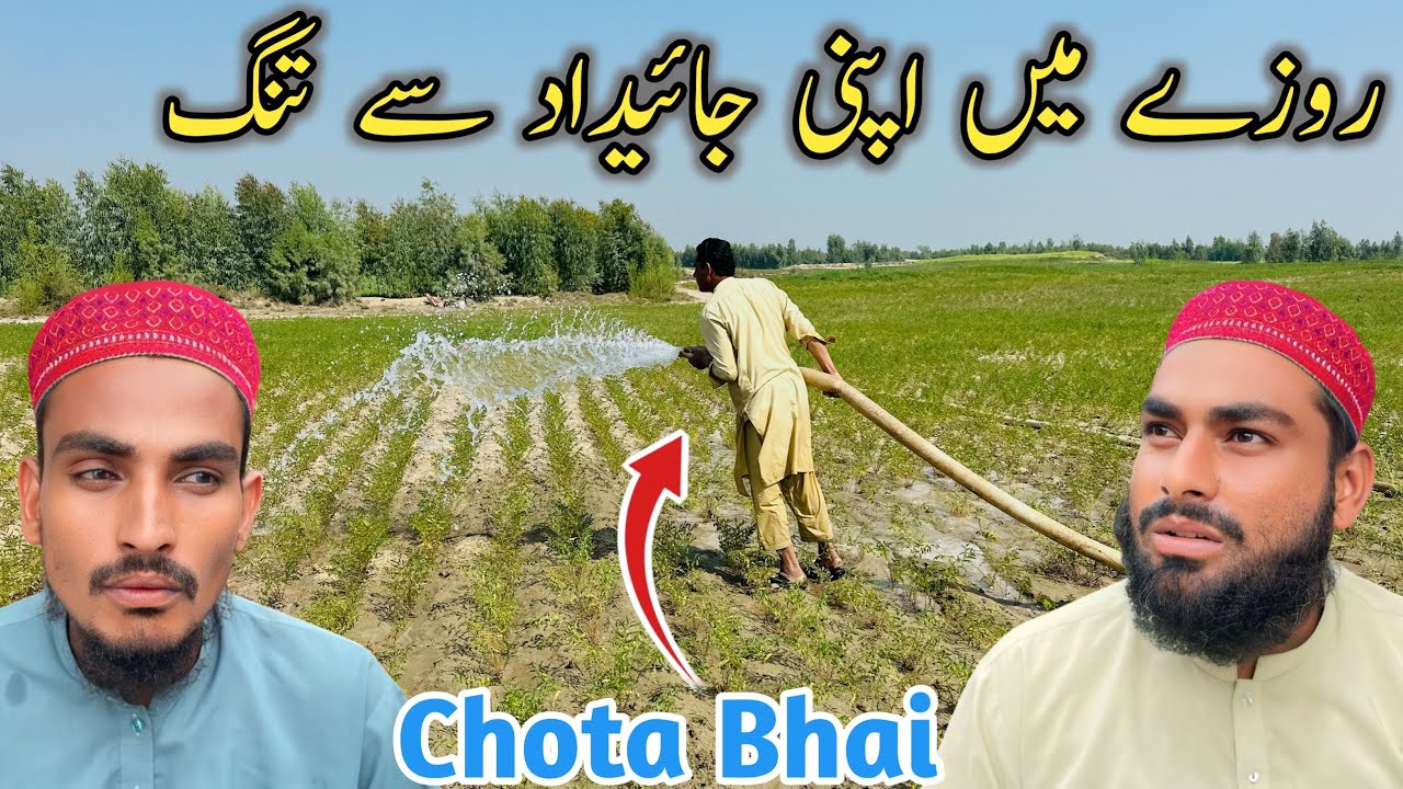 Rozy Me Apni Jaidad Se Tang 😭 Aa Gay Hen