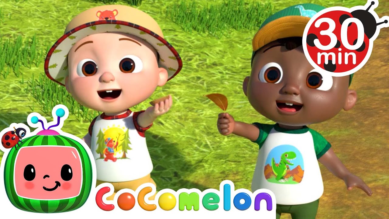Row Row Stream Song | Let's learn with Cody! CoComelon Songs for kids ...