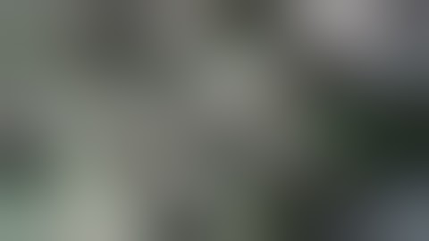 CAD Simplification for FEA