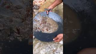 Mendapat emas banyak di pecahan gumpalan tanah | Gold prospecting #goldmining #golddiscovery