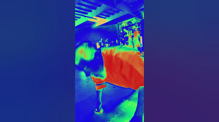 Do Knuckle Push-ups Benefits Martial Artists? | Kung Fu Warm-Up Exercises