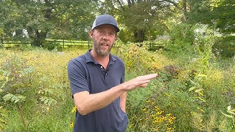 Rewild your backyard and track your progress with iNaturalist!