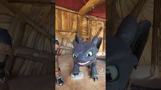 Dragons React To The Nose Tickles