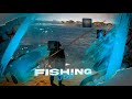 Quasar Fishing Job for FiveM | Advanced Co-op Fishing &amp; Progression System