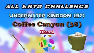 All Hats Challenge (Underwater Kingdom & Coffee Canyon) | 😱 SHARD AURA 😱| Roblox Unboxing Simulator