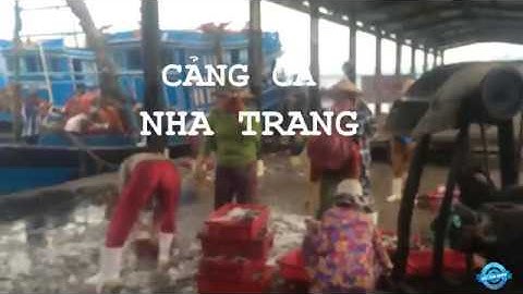 Cảng Cá Nha Trang