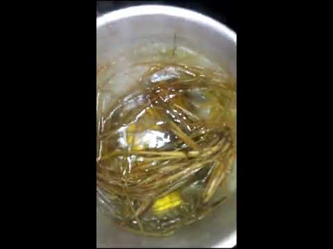 حلف البر اهميته وفوائده وكيفية عمل مشروب حلف البر  