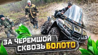 видео: В ТАЙГУ ЗА ЧЕРЕМШОЙ.СКВОЗЬ БОЛОТО И ТРЯСИНЫ. картинка: В ТАЙГУ ЗА ЧЕРЕМШОЙ.СКВОЗЬ БОЛОТО И ТРЯСИНЫ.