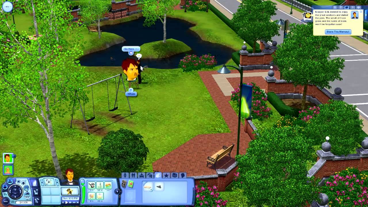 Sims Sims