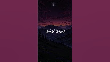 سورة لقمان بصوت الشيخ أنس العمادي
