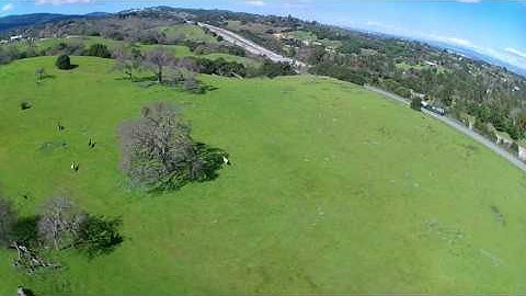 Hubsan H501S. Opps! I think I scared the Horses.