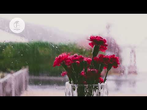 Video: Blomsterdyrkning er moderigtigt og smukt. prydhavearbejde