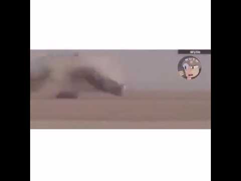 ضاعت وياك احلامي