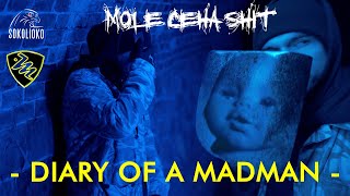 Mole - DIARY OF A MADMAN