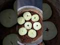 Easy way to grow Cucumber Plant in pot #shots #short #cucumber