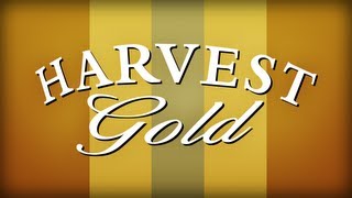 Beverage Guide Express - Harvest Gold Mead Beverage Guide Express Negra Modelo