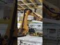 Aus-und Einpacker-Roboter bei BFM
