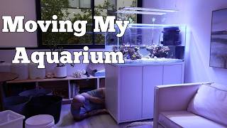 Moving my Reef Tank (Again)